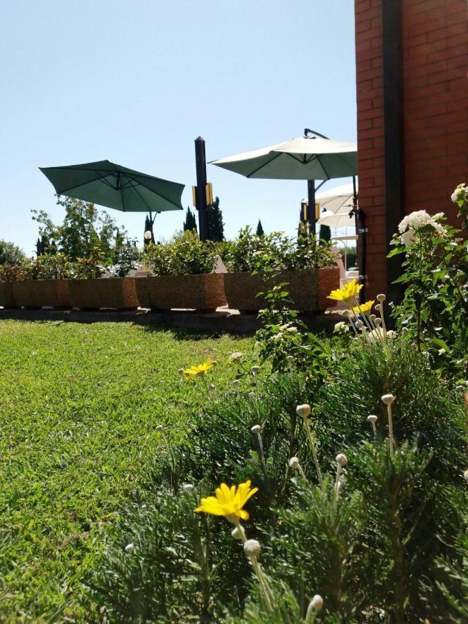 Meditur Hotel Pisa Migliarino Pisano Zewnętrze zdjęcie